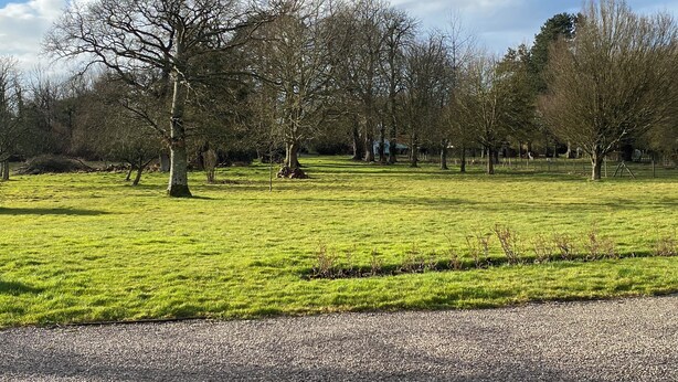 Un champ herbeux avec des arbres et un sentier de gravier.