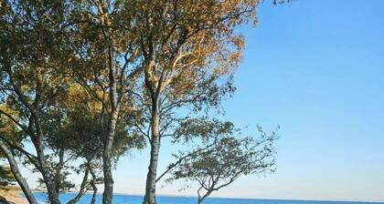 Cozy Apartment;close to beach, nature, train, grocerystore, nature reserve, Ystad