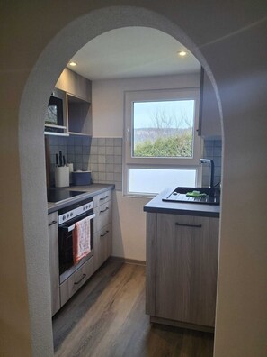 Frigorífico, microondas, horno y placa de cocina