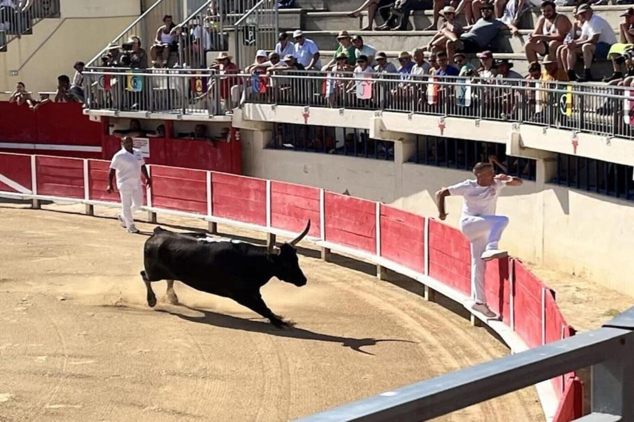 Une arène de corrida avec des spectateurs dans les gradins et un taureau courant dans l’arène.