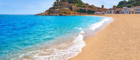 Casa | Detall de l'interior