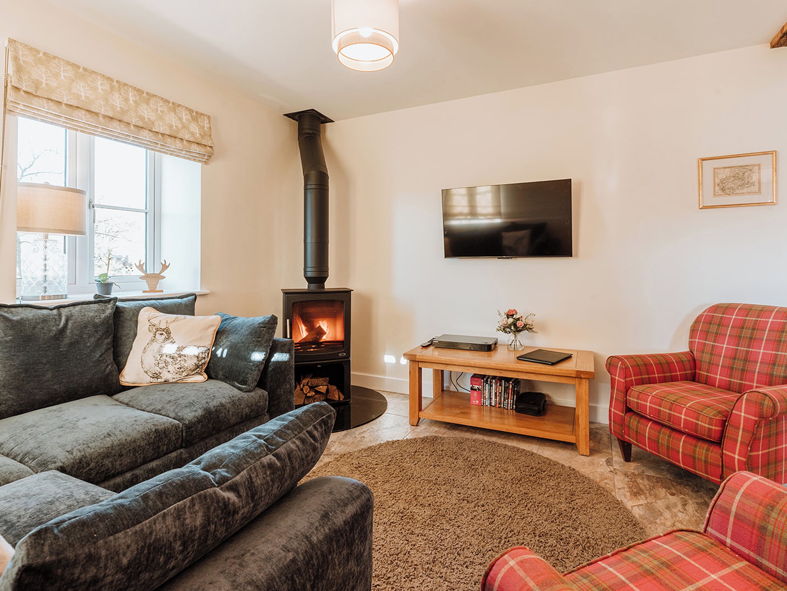 TV, fireplace