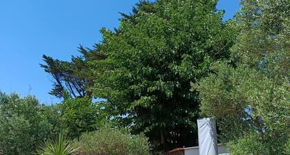 Demeure exceptionnelle Ă  80 mĂštres de la plage