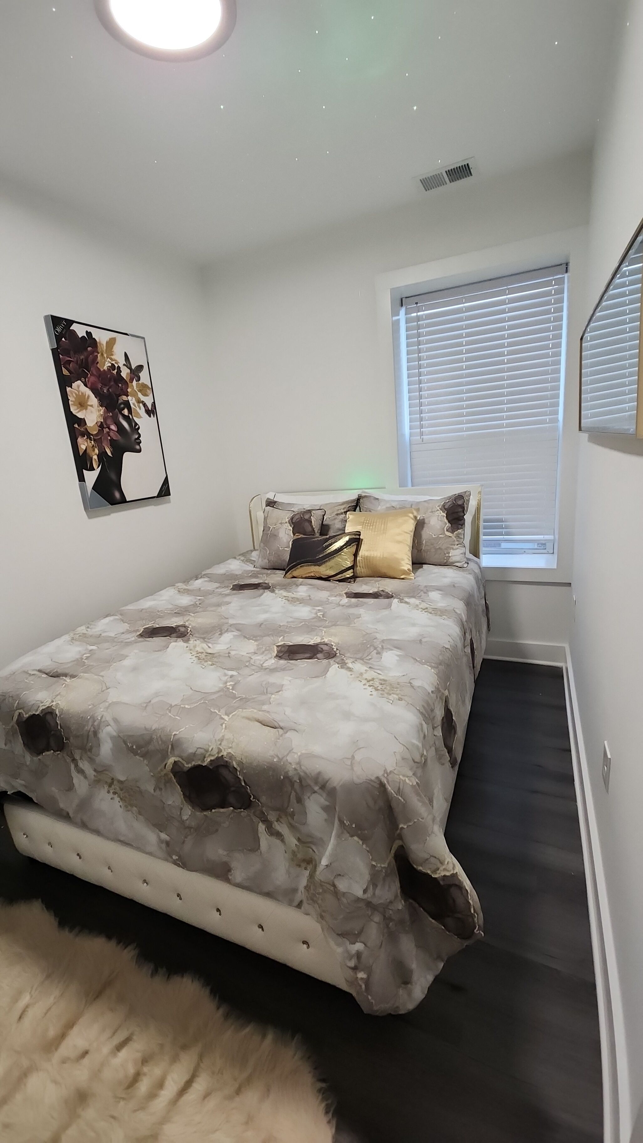 A bedroom with a bed, a window with blinds, a ceiling light, and a wall-mounted artwork.