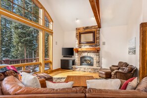 Télévision, cheminée, lecteur de DVD