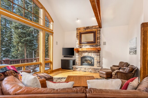 TV, fireplace, DVD player