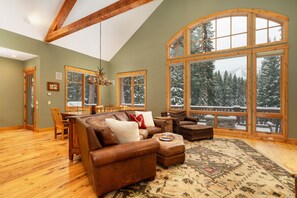 تلفزيون، مدفأة، مشغل دي في دي