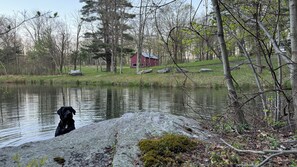 Ulkoalueet