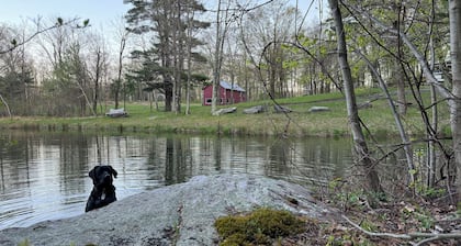 8-bedroom house & barn boardering the Catskill Mountain Preserve and family farm