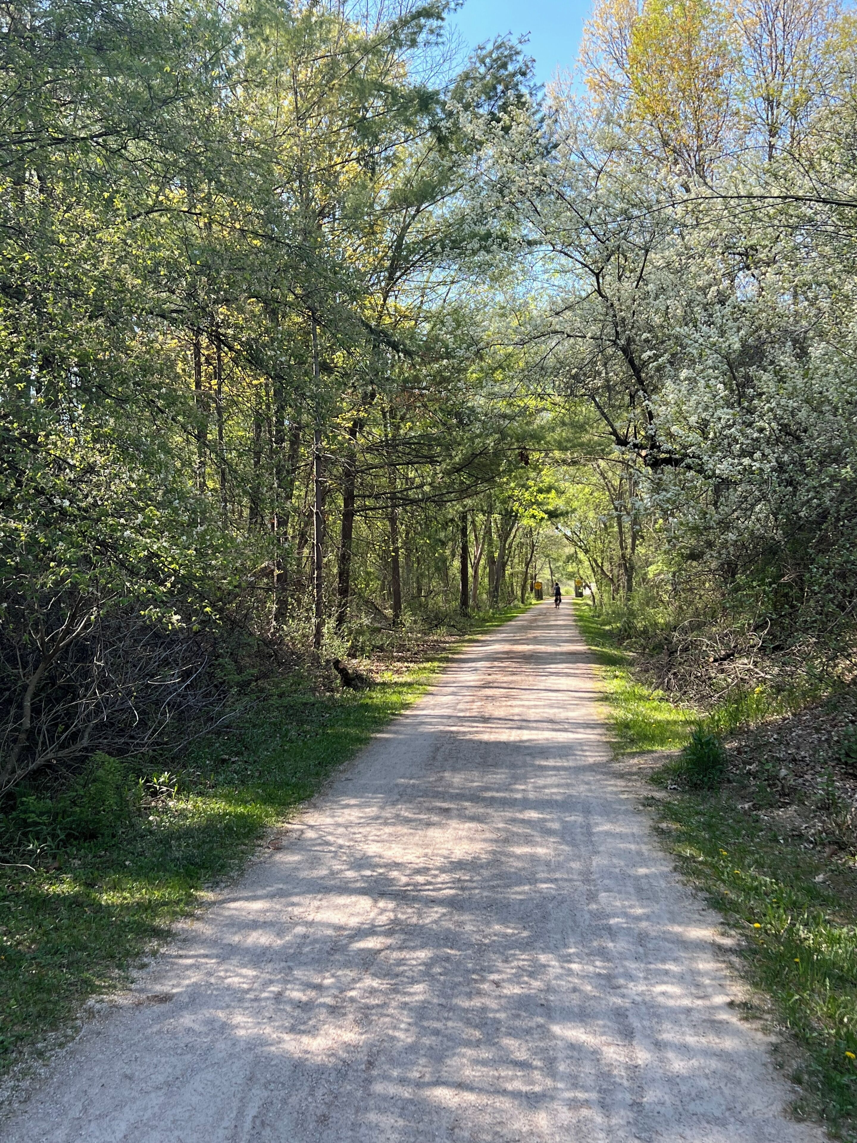 Un chemin pavé, bordé d’arbres et de verdure, qui s’étend à perte de vue.