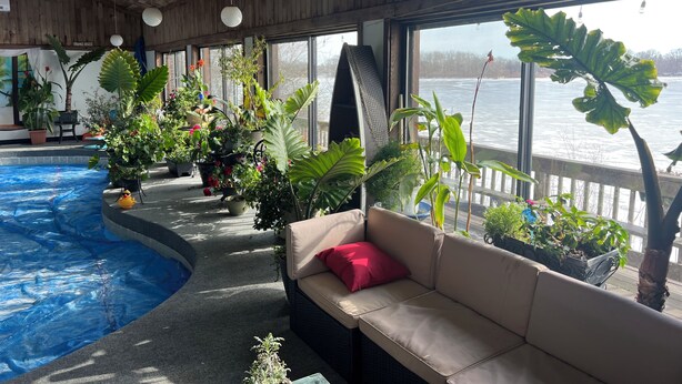 An indoor pool area with a sofa and potted plants, large windows with a view of a body of water. - Spacious room in Tudor home overlooking the Maumee river near Metro Parks. Wifi (Grand Rapids)