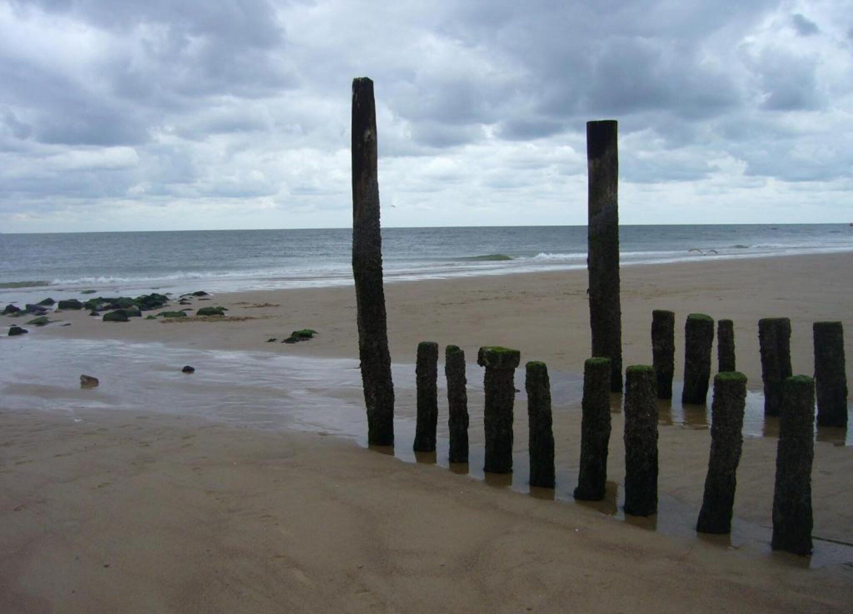 A beach with wooden posts and rocks.