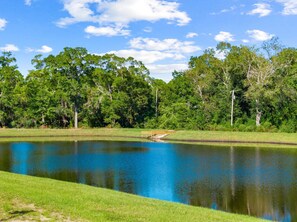 A serene pond surrounded by lush greenery and trees.
