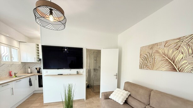 A modern living room with a sofa, a flat-screen TV, and a decorative plant. - 06CP - Beautiful T2 super equipped with terrace (Villeneuve-Loubet)