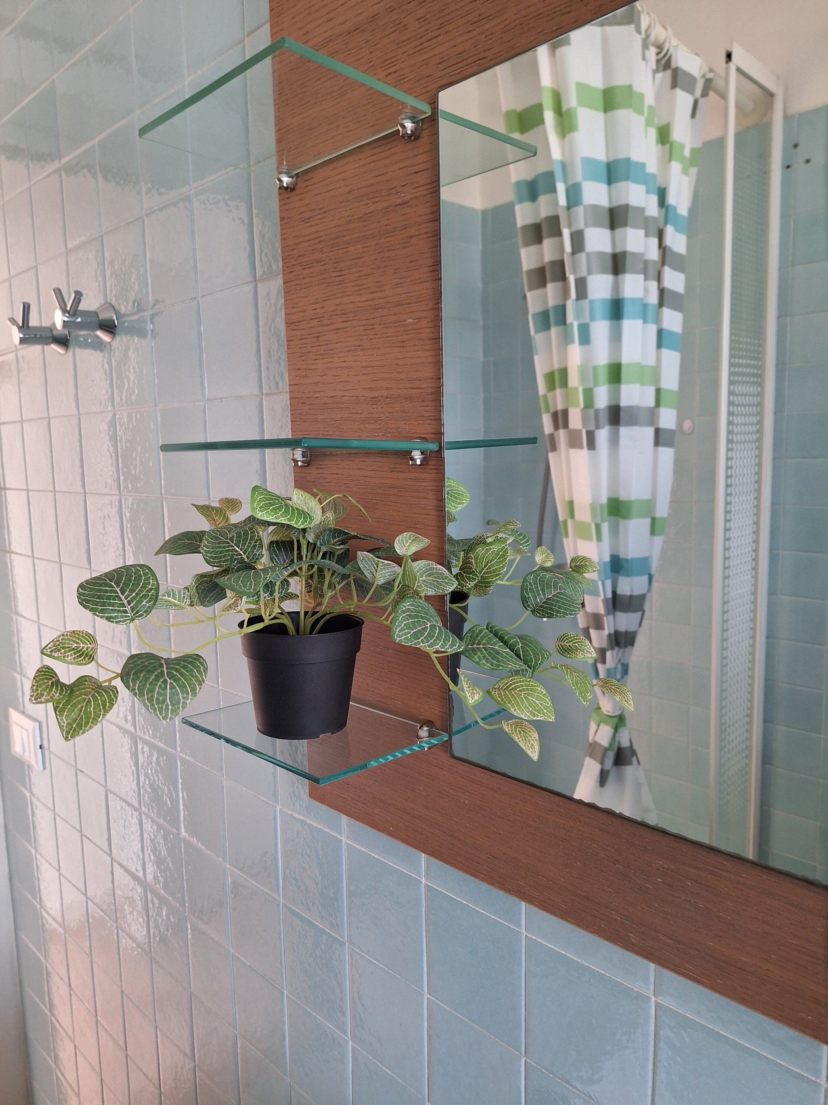 Dusche, Haartrockner, Bidet, Handtücher