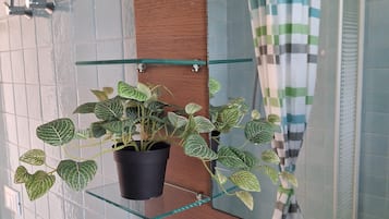 Dusche, Haartrockner, Bidet, Handtücher