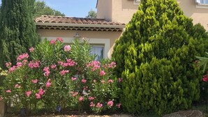 A house with a tiled roof, a garden with pink flowers, and a tall coniferous tree. - Charming house in Provence, quiet and pleasant (Aubignan)