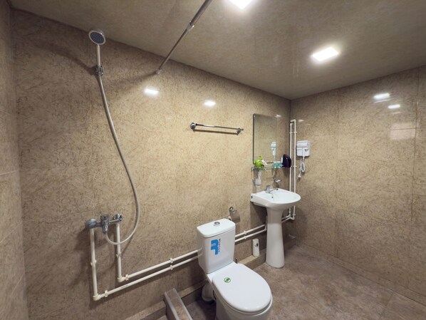 Une salle de bain moderne équipée d’une douche, de toilettes et d’un lavabo.