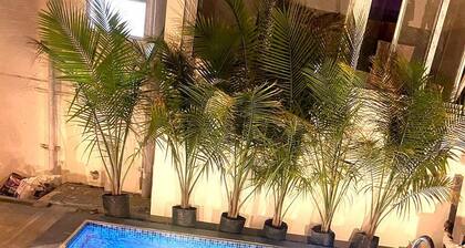 Spacious 3BHK New Villa with Private Pool and a Large Common Pool