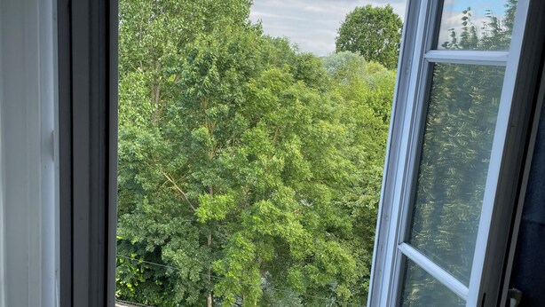 Une fenêtre donnant sur une forêt dense et verdoyante, avec une voie ferrée au premier plan.