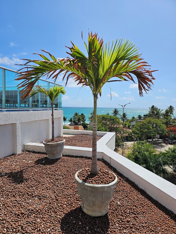 Terrace/patio - Conforto e localização Nixxus I (Ipojuca)