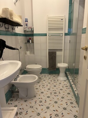 Chuveiro, secador de cabelo, bidê, toalhas de banho