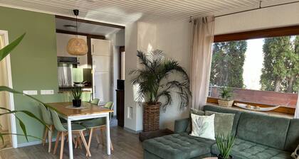 Fischbach forest idyll