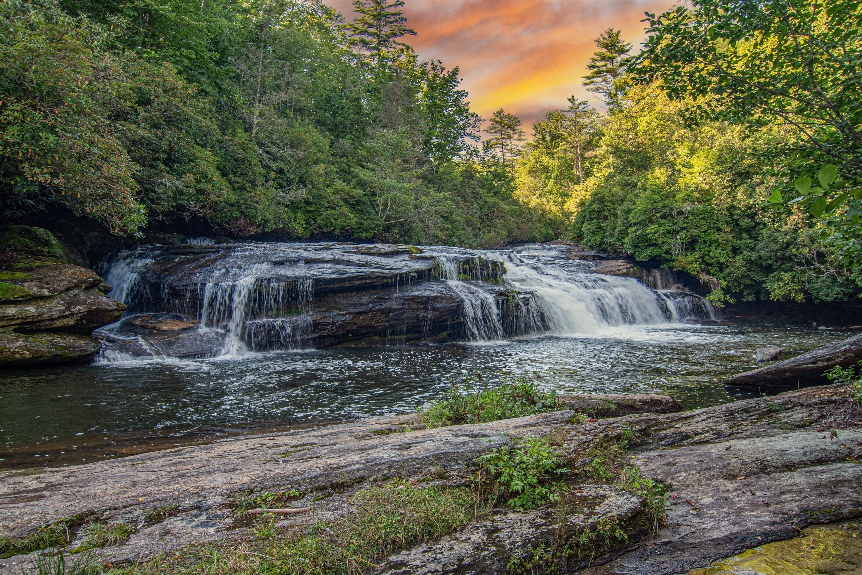 A waterfall surrounded by dense forest.