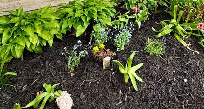 The Cubhouse-Warm 3 BDRM home,4mi to PSU w/Free Parking, Grill, WiFi & Breakfast