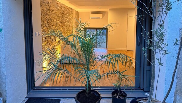 Un intérieur moderne avec un mur en pierre, une plante en pot et un plancher en bois.