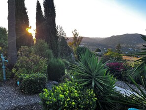 A garden with a water fountain, various plants, and a view of distant mountains.