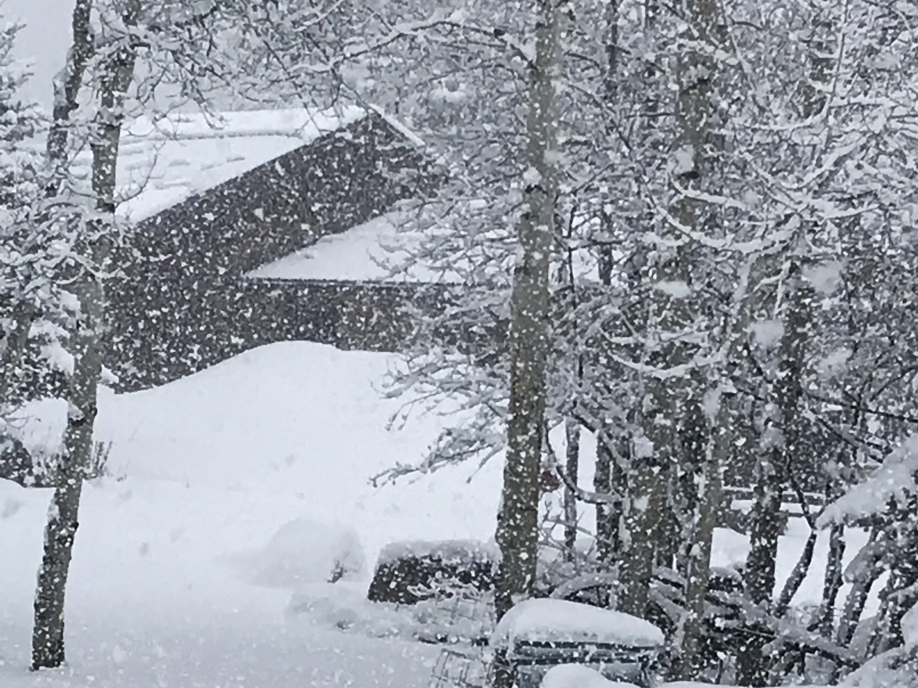 Terrain de l’hébergement 
