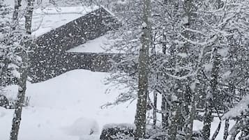 Terrain de l’hébergement