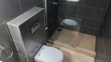 Shower, towels, toilet paper