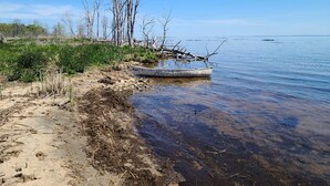 A boat stranded on a sandy shore with trees in the background.