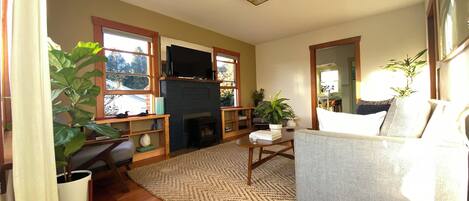 Smart TV, fireplace, books, music library