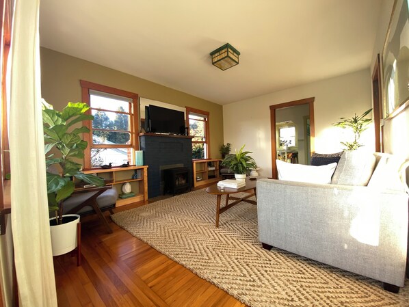 Smart TV, fireplace, books, music library