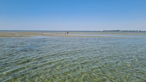 A beach with clear shallow waters, a person walking, and distant wind turbines. - 3 bedroom nice home in Stavenisse (Stavenisse)