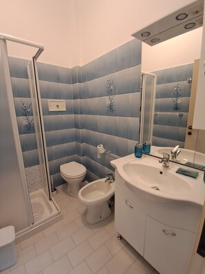 Shower, hair dryer, bidet, toilet paper