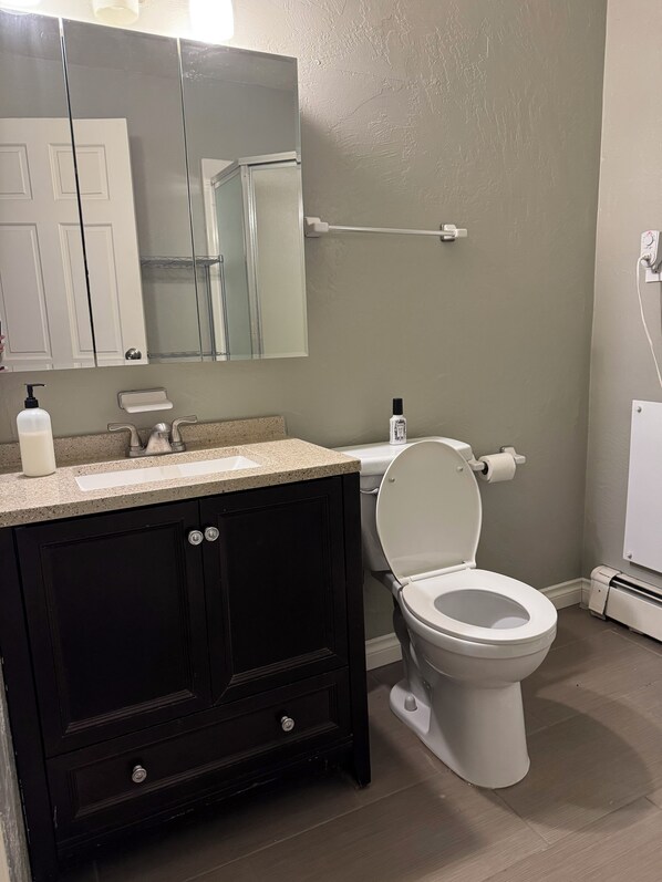 A bathroom with a white toilet, a sink with a mirror above it, and a towel rack. - Valley Home on James CBJ1002348 (Juneau)