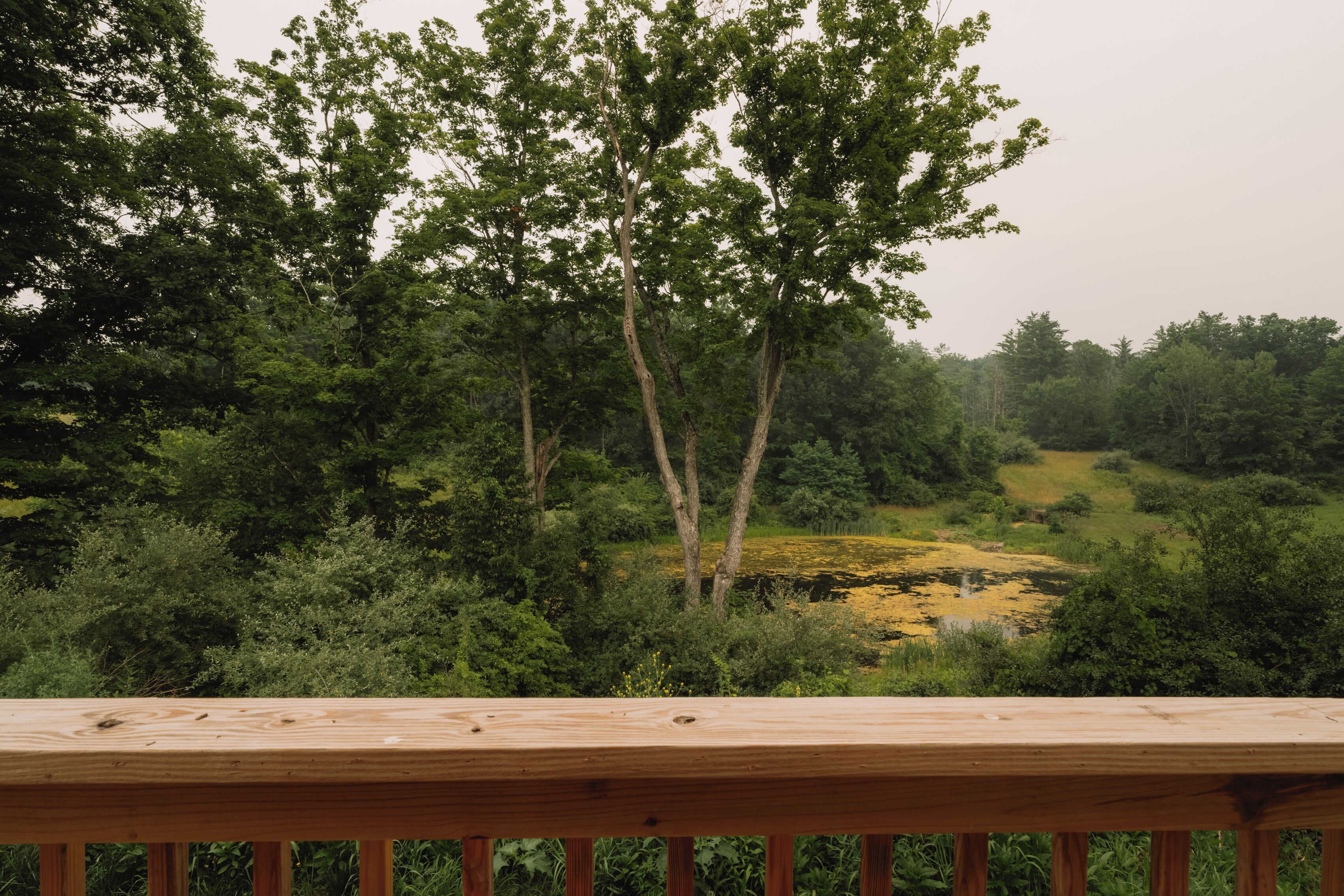A wooden deck overlooking a natural landscape with trees and a pond.