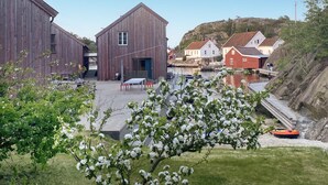 Uklassifisert bilde, 3 av 13, knapp