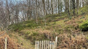 Unclassified image, 2 of 9, button - The Cabin In The Woods - UK49023 (Llanybydder, near Lampeter)