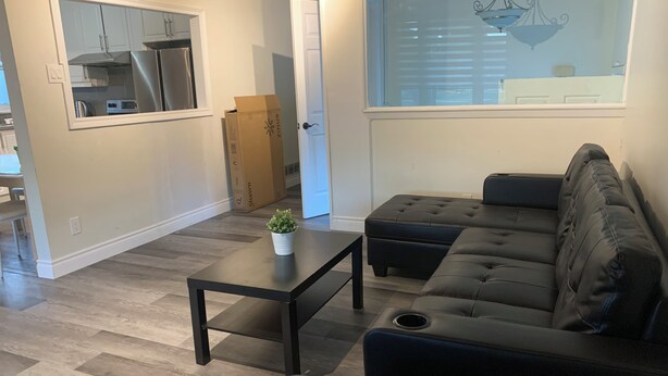 A living room with a sectional sofa, a coffee table, and a potted plant.