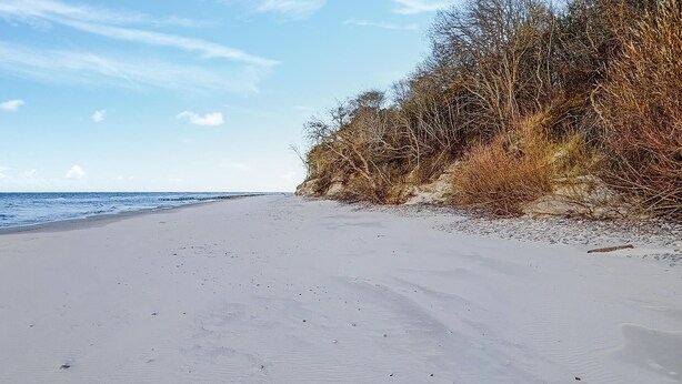 Une plage de sable fin, avec un ciel dégagé et l’océan en toile de fond.