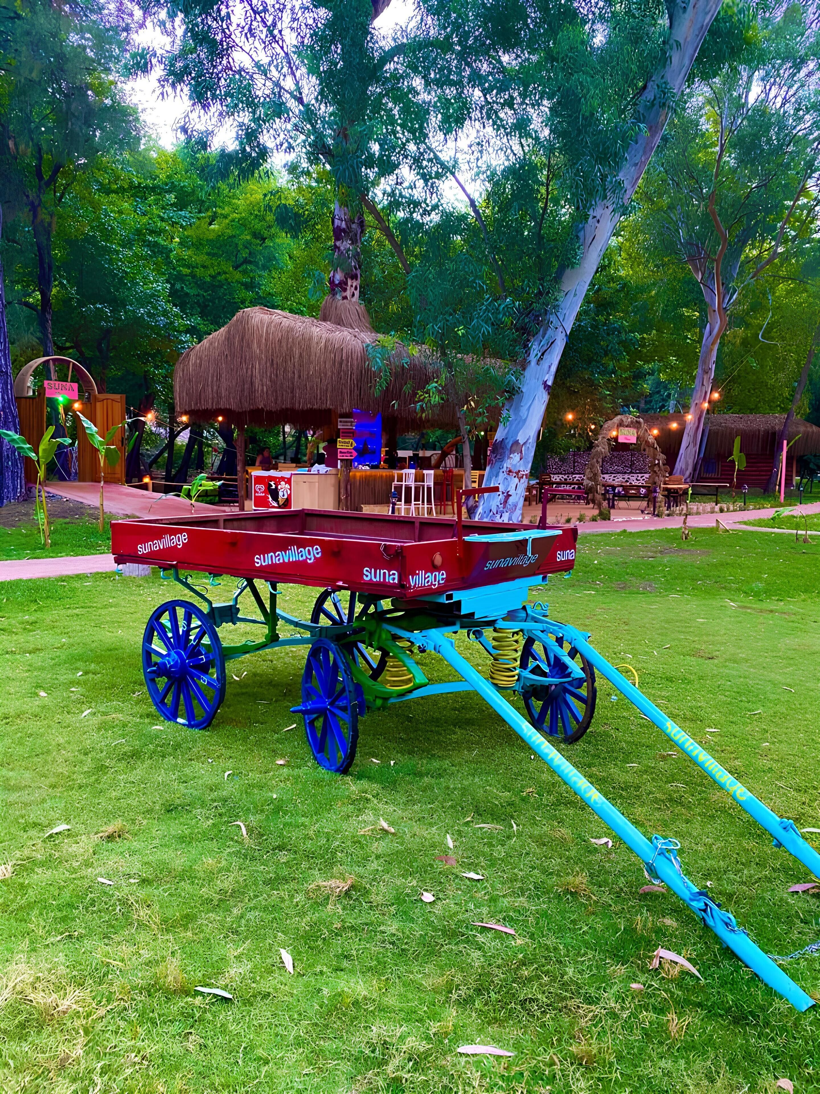 A traditional thatched-roof carriage with blue wheels and a canopy, parked on a grassy area with trees in the background.