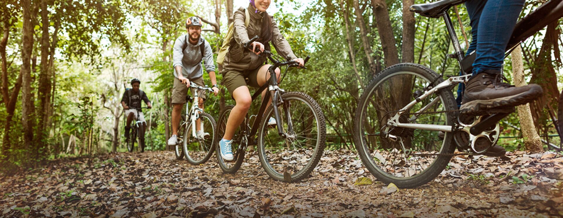 A forested area with bicycles.