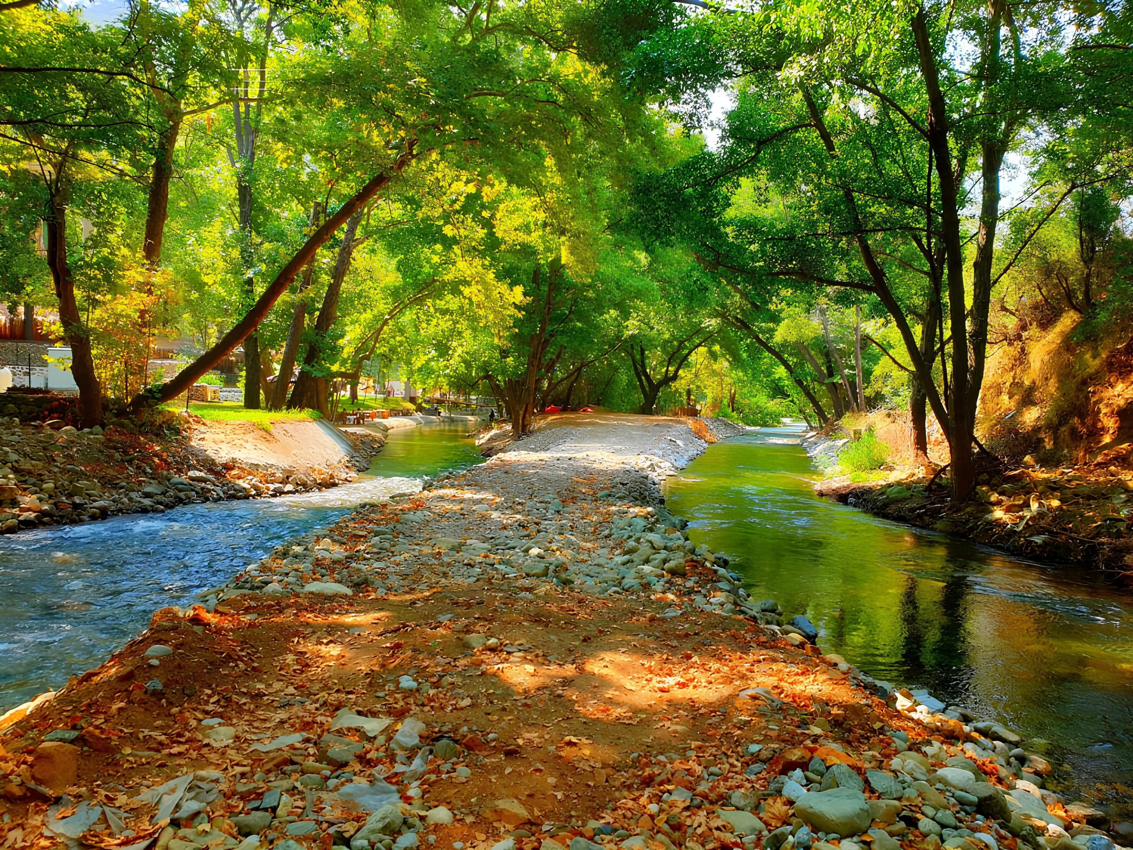 A river flowing through a forested area with a dirt path leading towards the water.