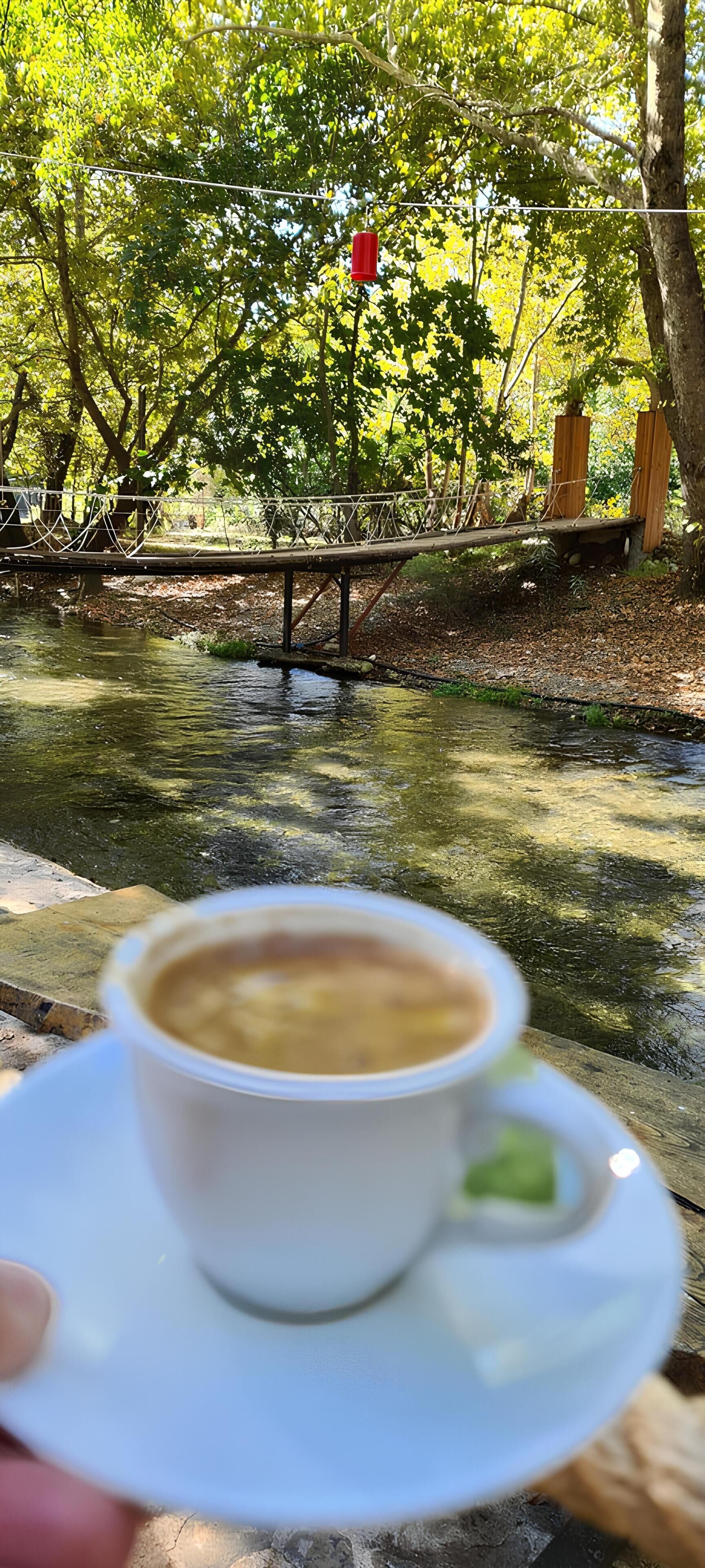 Una taza de café sobre un platito, con un fondo borroso de un puente de madera sobre un arroyo, rodeado de árboles.