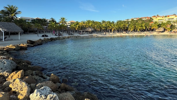 A beach with clear blue water, palm trees, and a thatched-roof structure.